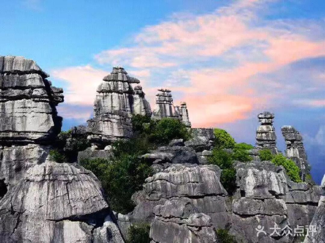 Stone Forest Mijia Guest House Shilin المظهر الخارجي الصورة