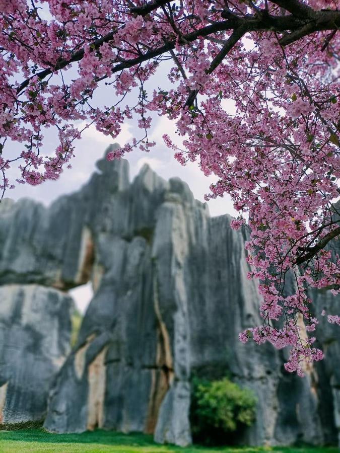 Stone Forest Mijia Guest House Shilin المظهر الخارجي الصورة